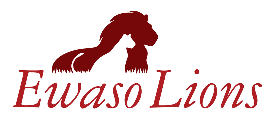 Ewaso logo